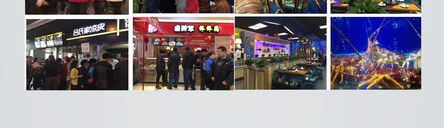 創始人簡介